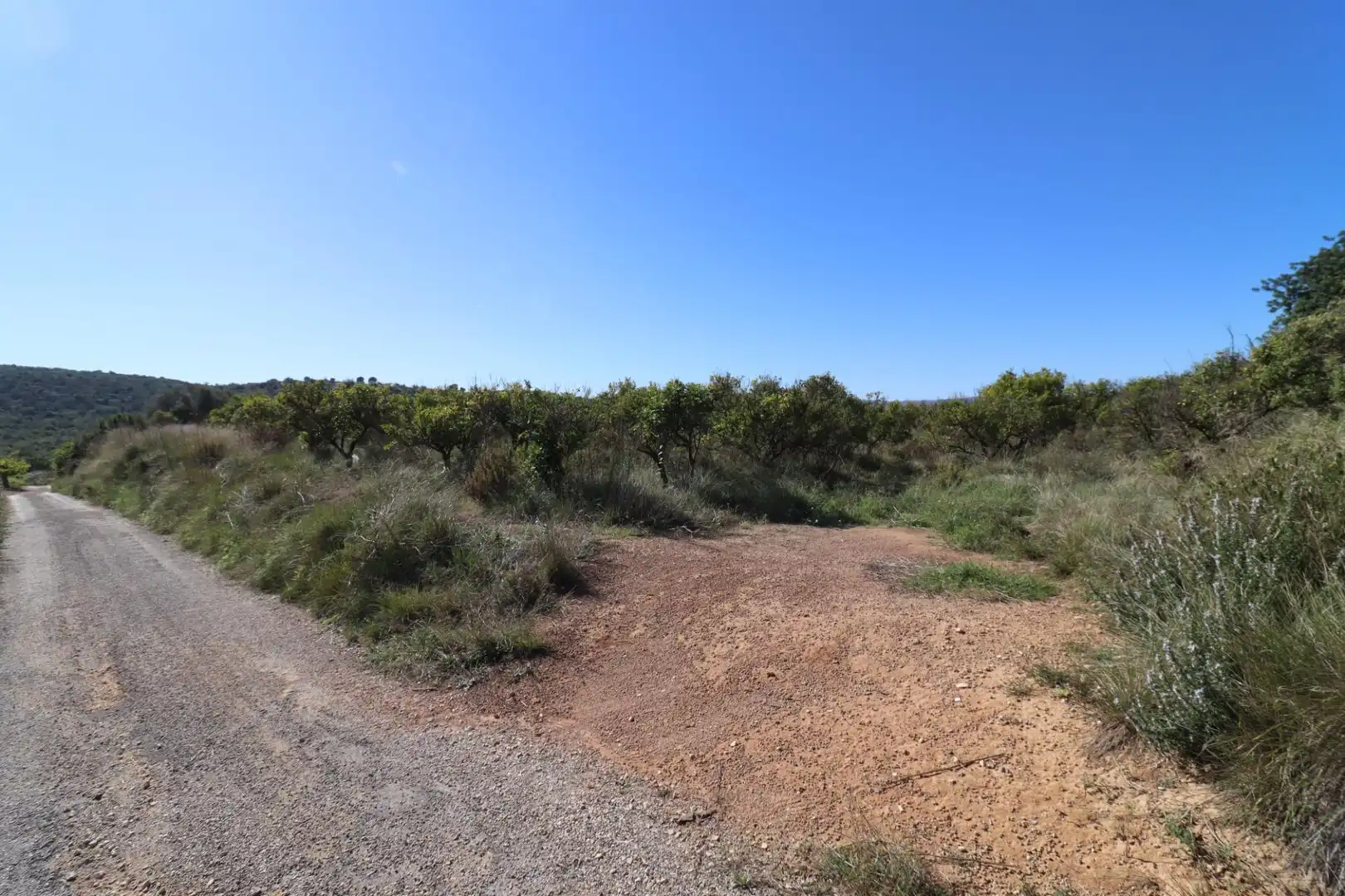 Grundstücke zum Verkauf in Ulldecona