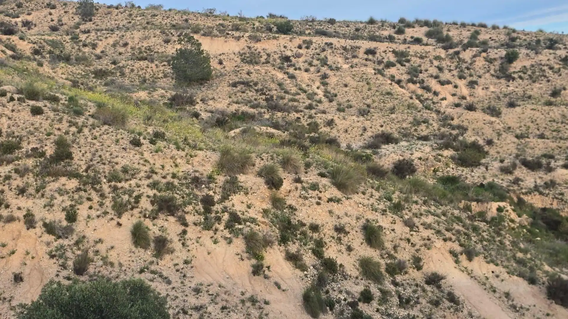 Land for sale in Molina de Segura