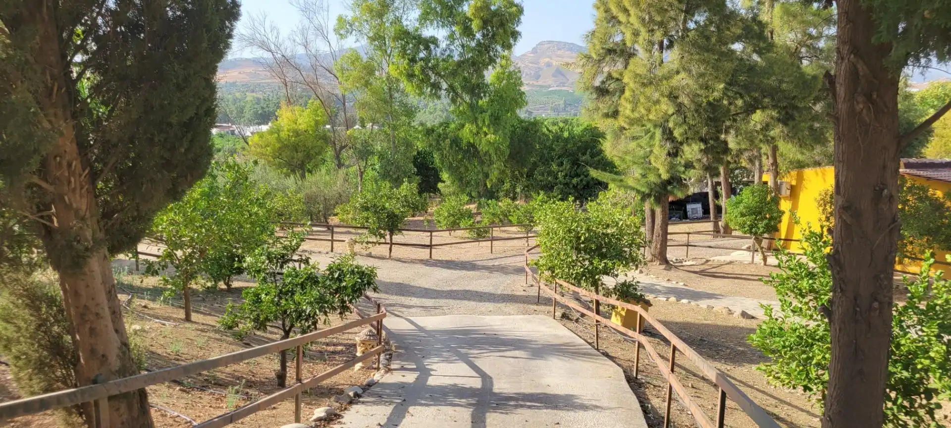 Vista exterior de Finca rústica en venda en Pizarra amb Aire condicionat, Calefacció i Piscina
