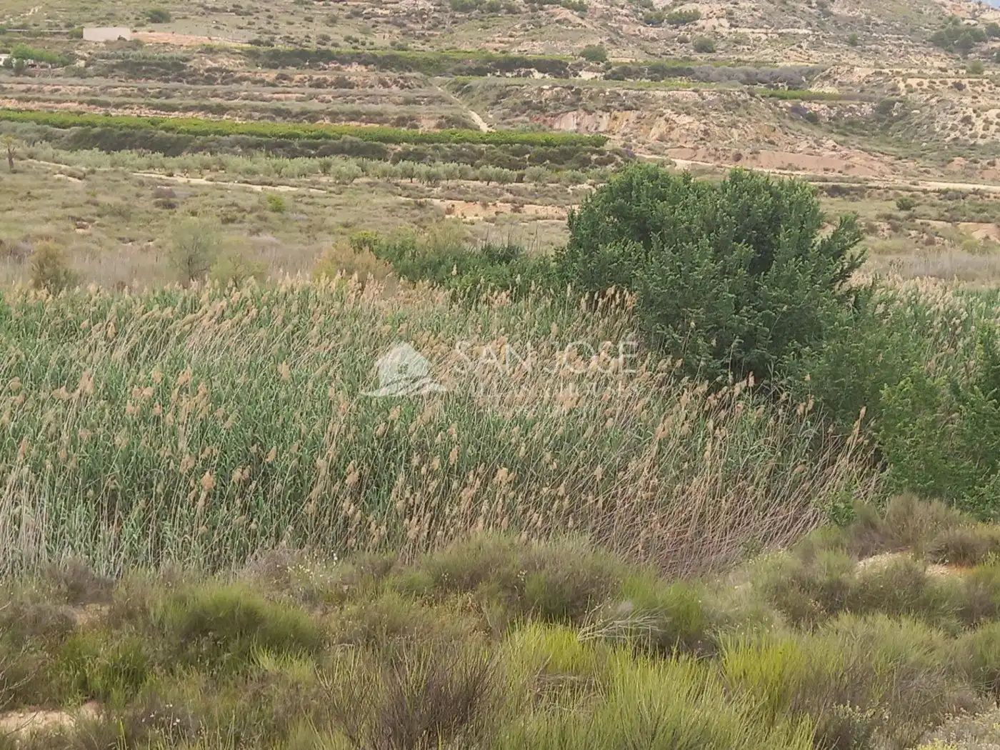 Rural land for sale in Novelda, imagen 12