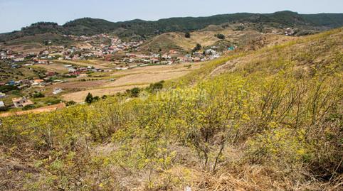 Photo 4 of Land for sale in Las Mercedes, Santa Cruz de Tenerife