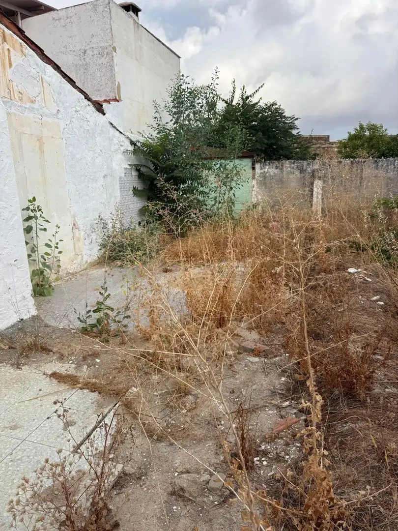 Lands and plots for sale in Olivenza, imagen 3