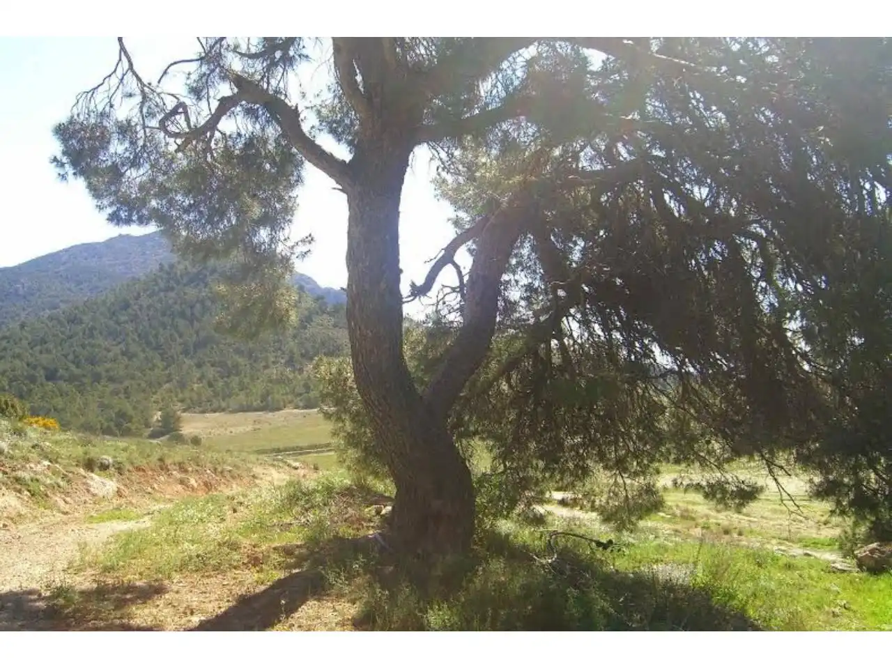 Terrains et parcelles à vendre à Pedanías Norte, imagen 6