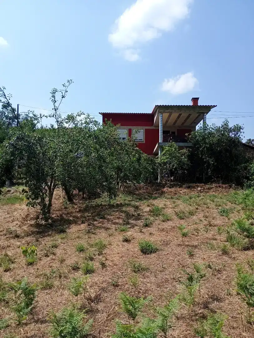 Finca rústica en venda en Salvaterra de Miño