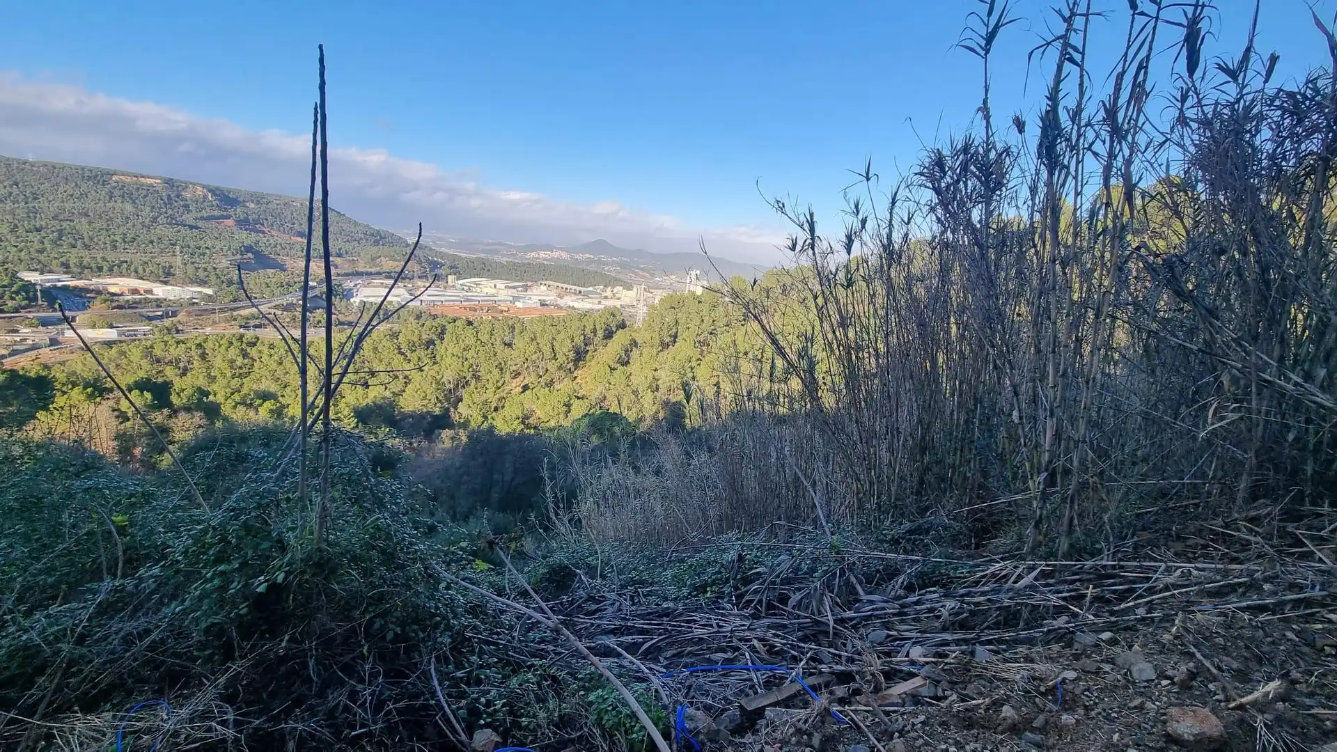 Terreny rústic en venda a Cervelló, imagen 5