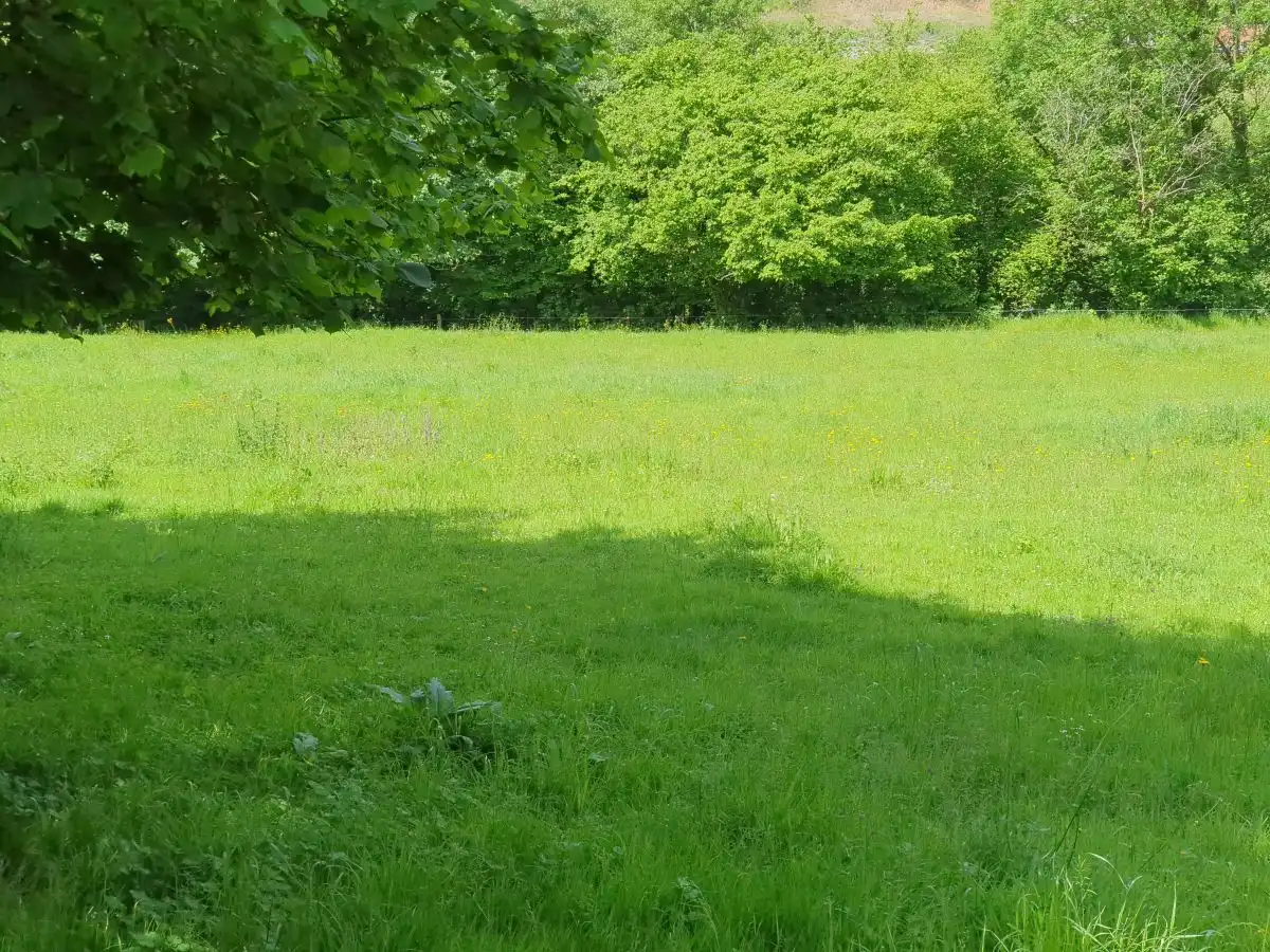 Rustikales Grundstück zum Verkauf in San Claudio - Trubia - Las Caldas, imagen 19