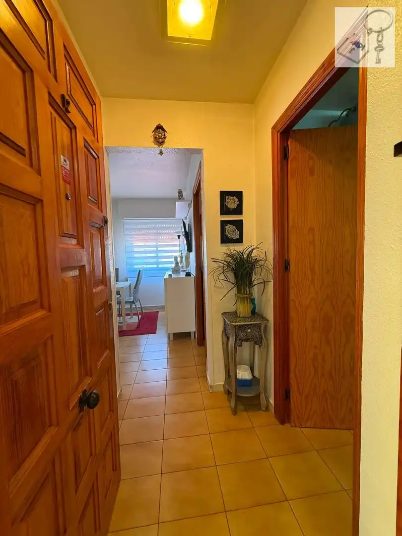 Apartament en venda en Torrevieja amb Aire condicionat, Terrassa i Moblat