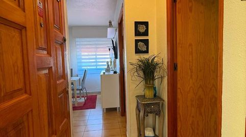 Foto 5 de Apartament en venda a N/a, La Veleta, Torrevieja
