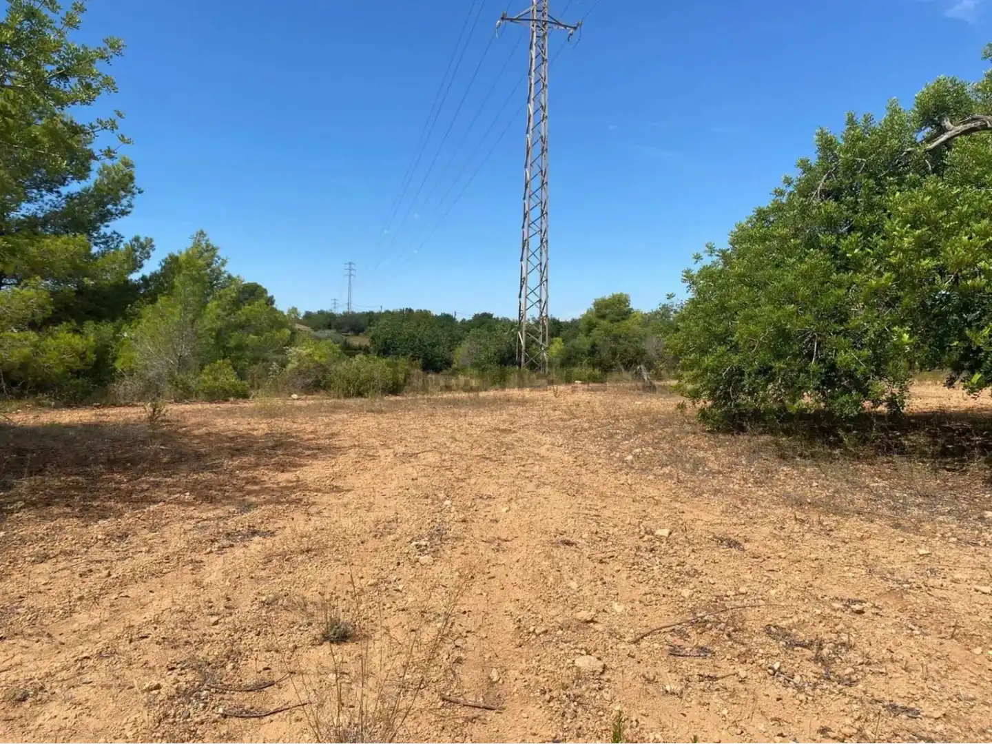 Rural land for sale in Extrarradio Diseminado 1, imagen 13