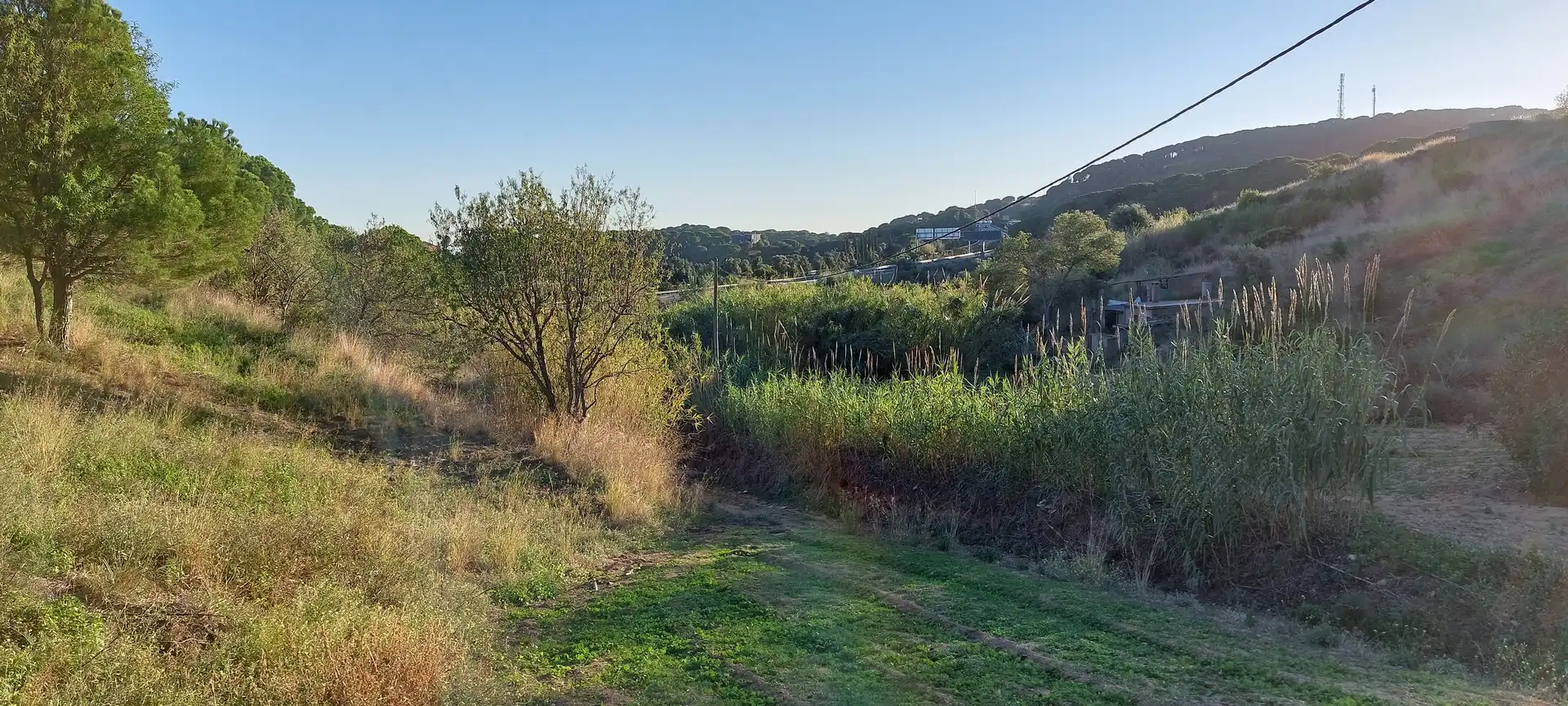Rural land for sale in Calella, imagen 7