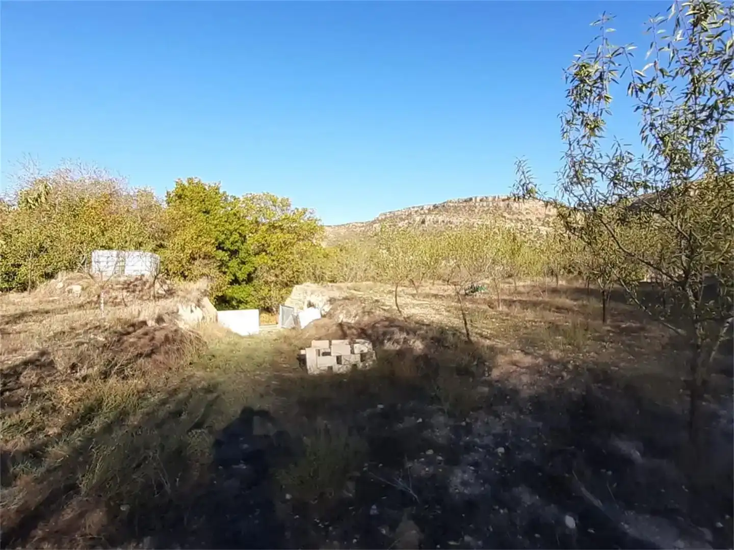 Terreno en venta en Algar de Mesa, Guadalajara