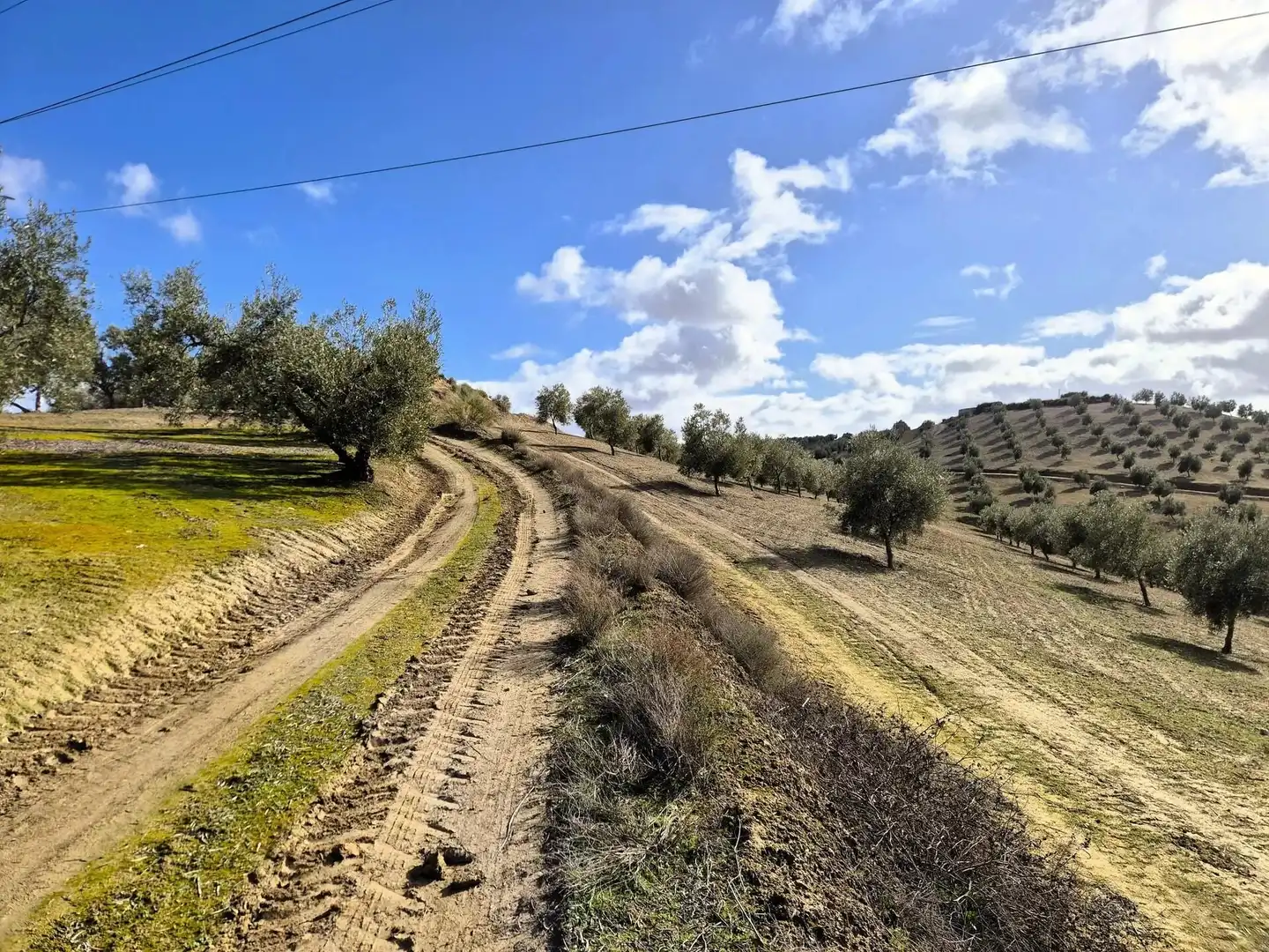 Terreno rústico en venta en Salar, imagen 6