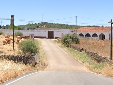 Rural land for sale in Olivenza