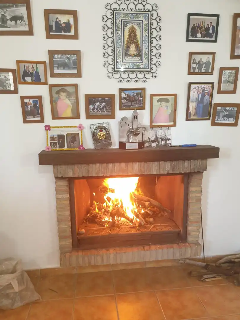 Houses for sale in Málaga  with Furnished