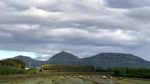 Photo 5 of Planta baja for sale in Torroella de Montgrí, Girona