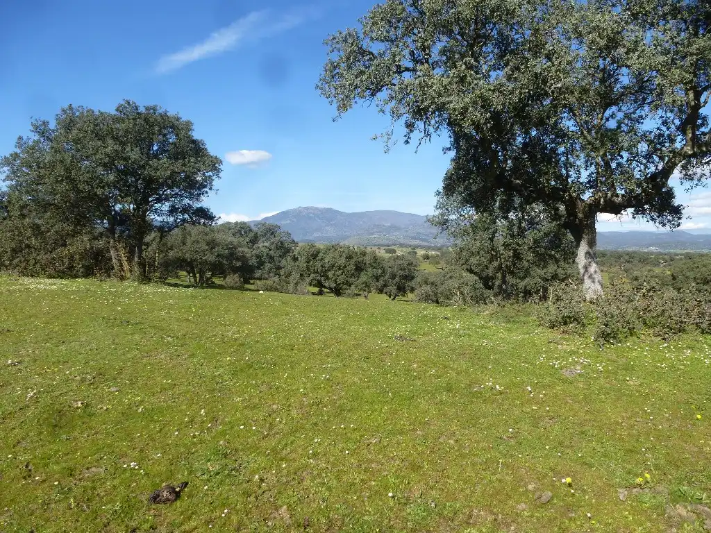 Rural land for sale in Maqueda, imagen 7