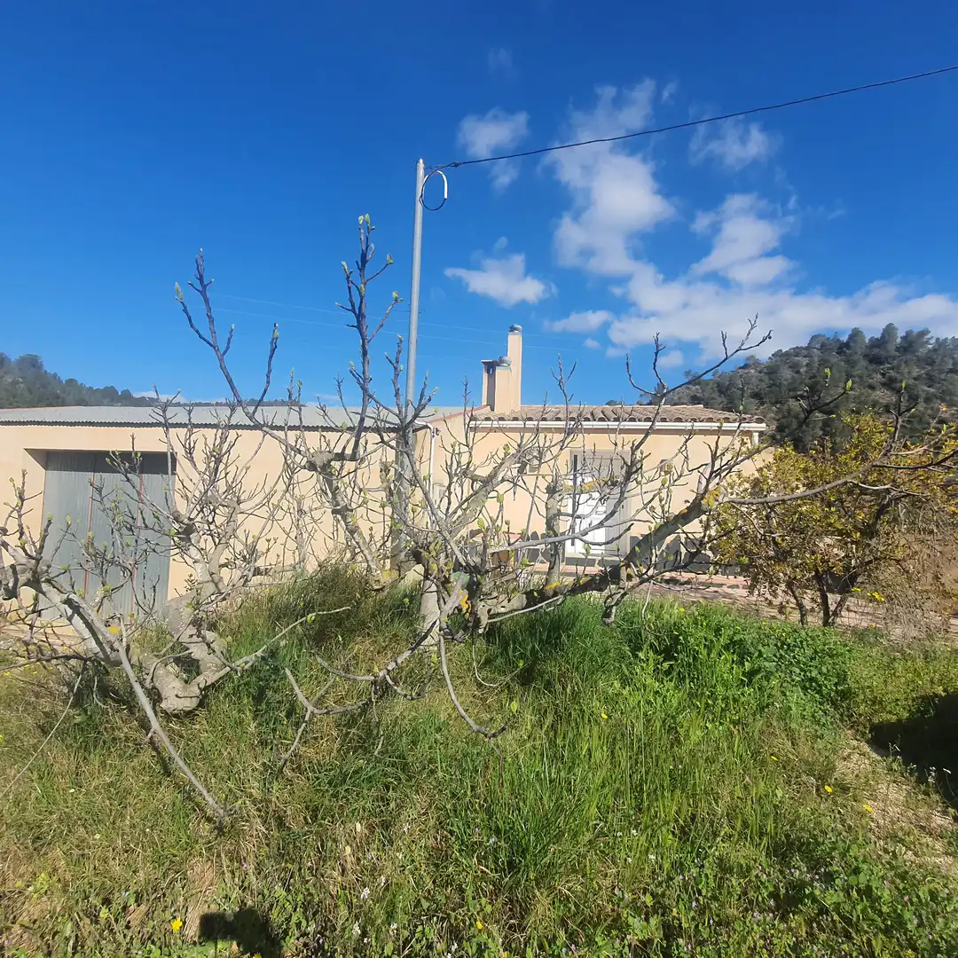 Maison rustique à vendre à Benifallet, imagen 2