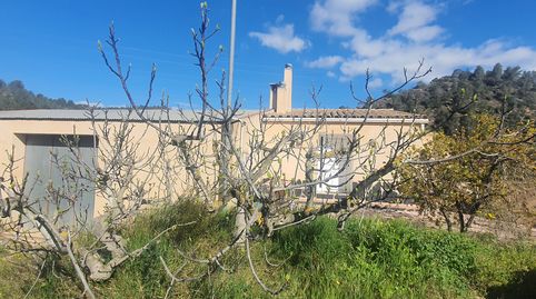 Foto 2 de Finca rústica en venta en Benifallet, Tarragona