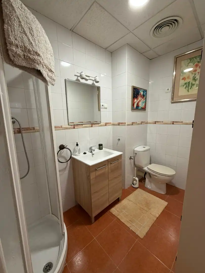 Bathroom of Study for sale in Málaga  with Furnished