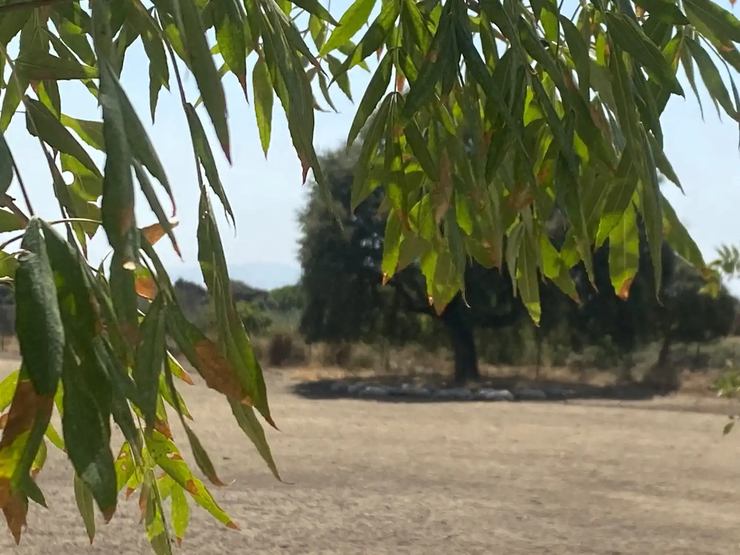 Terreni e lotti in vendita a Oropesa, imagen 11
