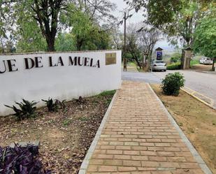 Vista exterior de Casa o xalet en venda en El Viso del Alcor amb Terrassa i Traster