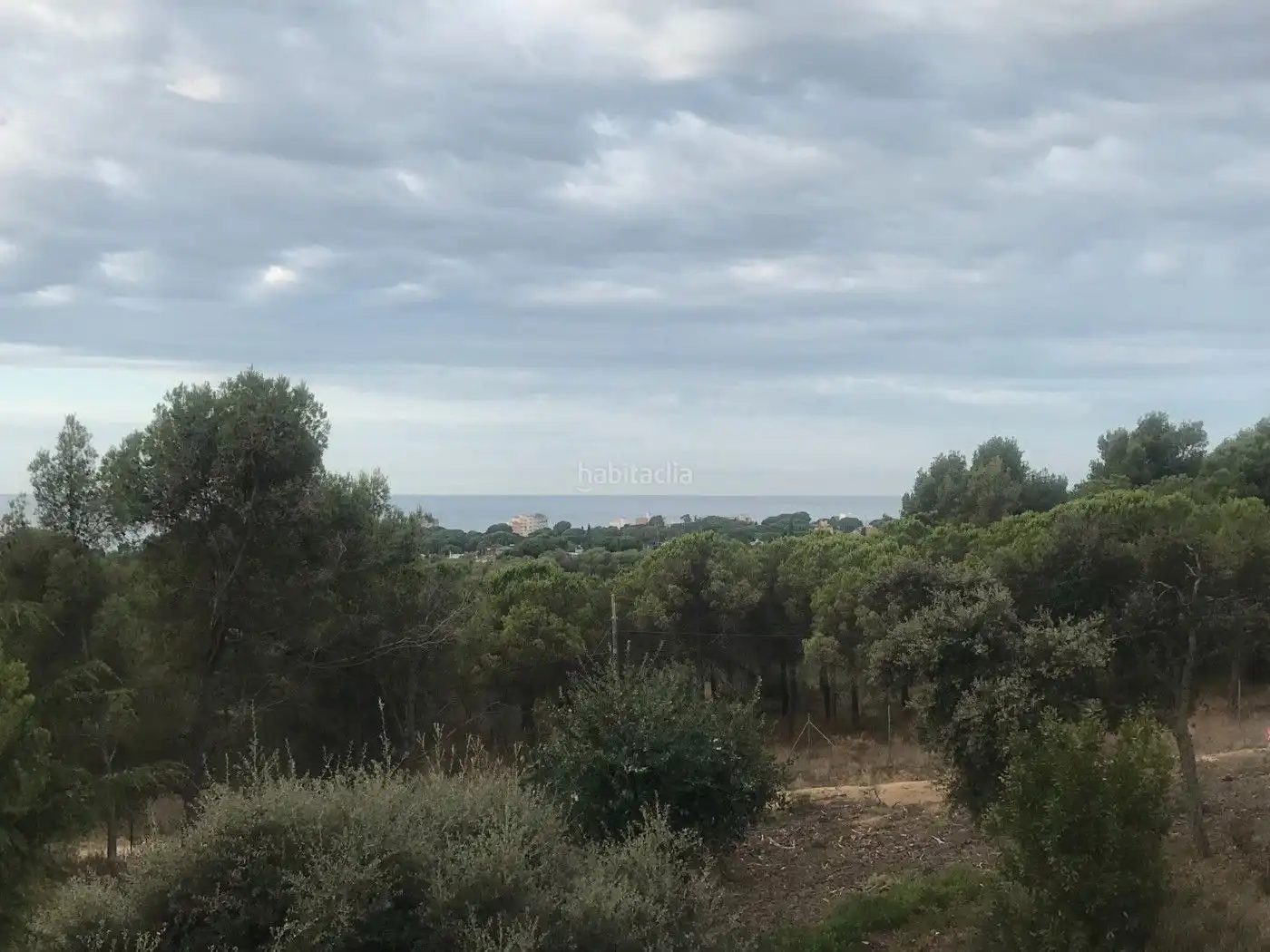 Terreno residencial en venta en Carrer Puig de sa Roca 5