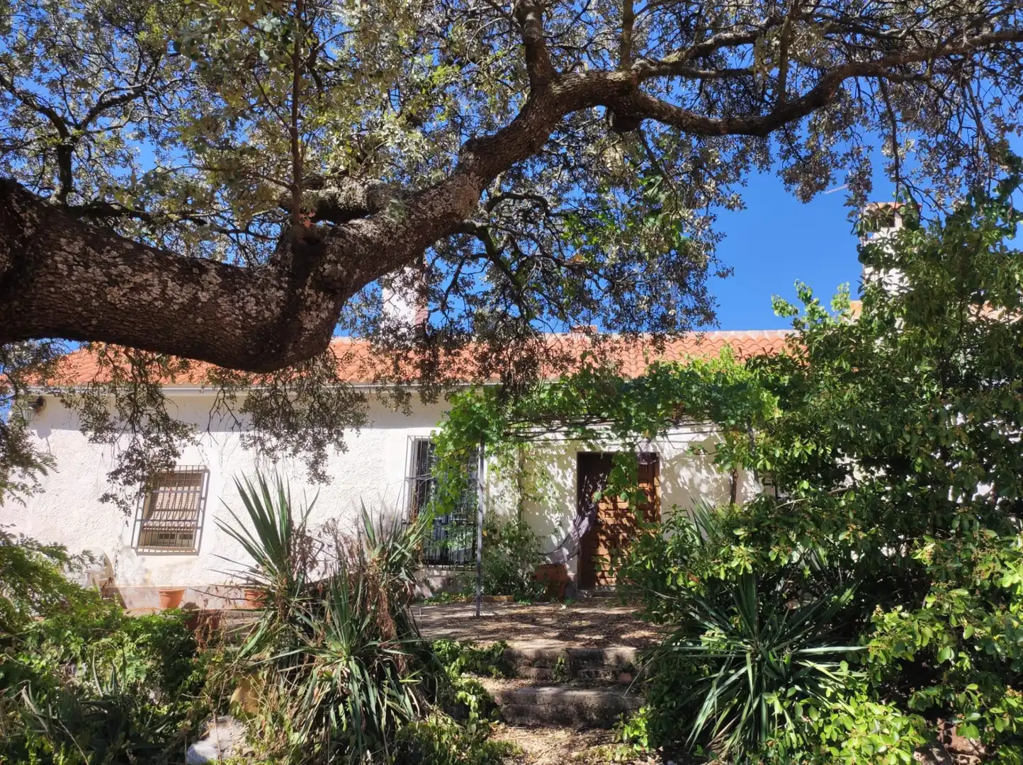 Casa rústica en venda a Almodóvar del Campo, imagen 12