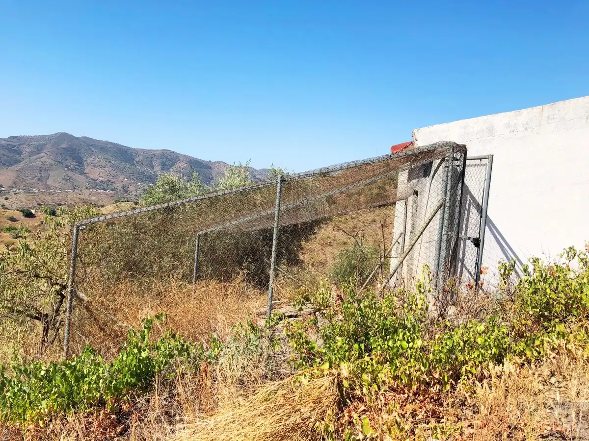 Terrenos y solares en venta en Sedella, imagen 3