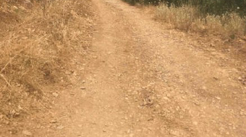 Foto 2 de Terreny en venda a Poligono 34 Parcela 148 Mezquita, Martos, Jaén