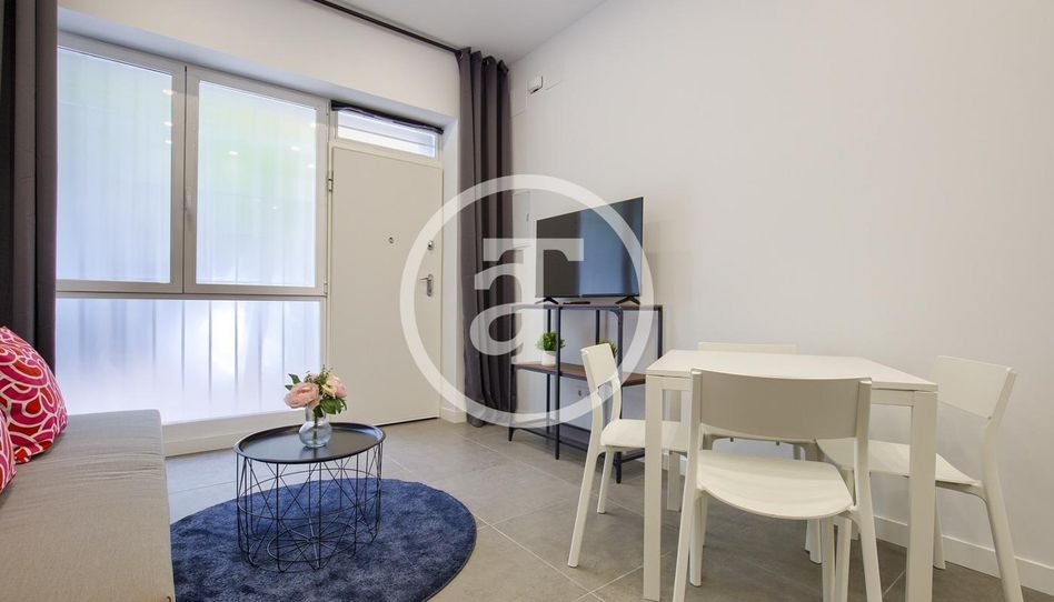 Piso de alquiler en Calle Alondra, 32, Vista Alegre - Imagen 3
