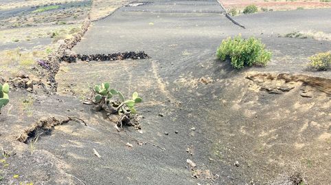 Foto 5 de Terreno en venta en Máguez, Haría