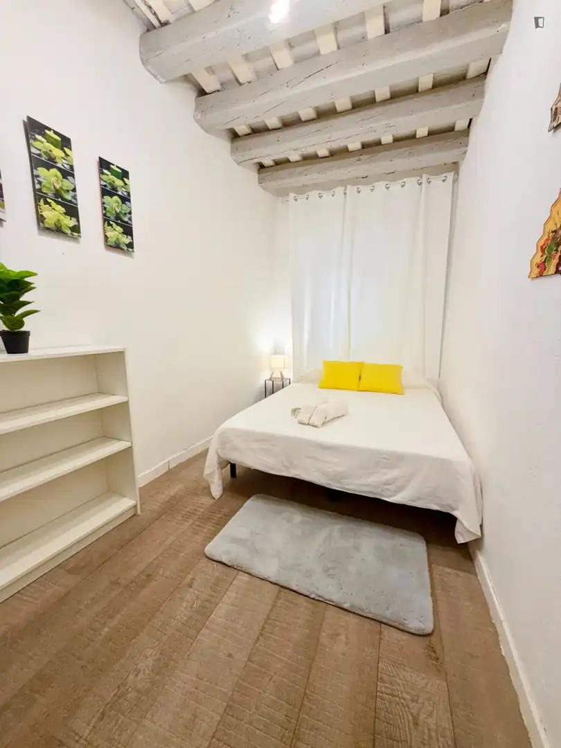 Estudi de lloguer a Barcelona, Barcelona