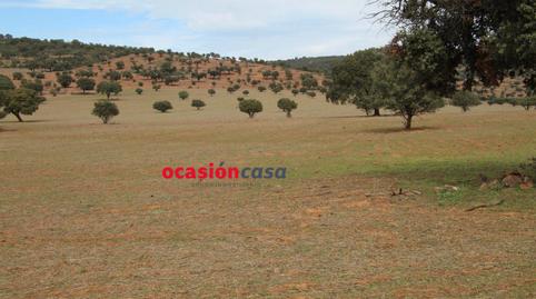 Foto 4 de Finca rústica en venda a Peñarroya-Pueblonuevo, Córdoba