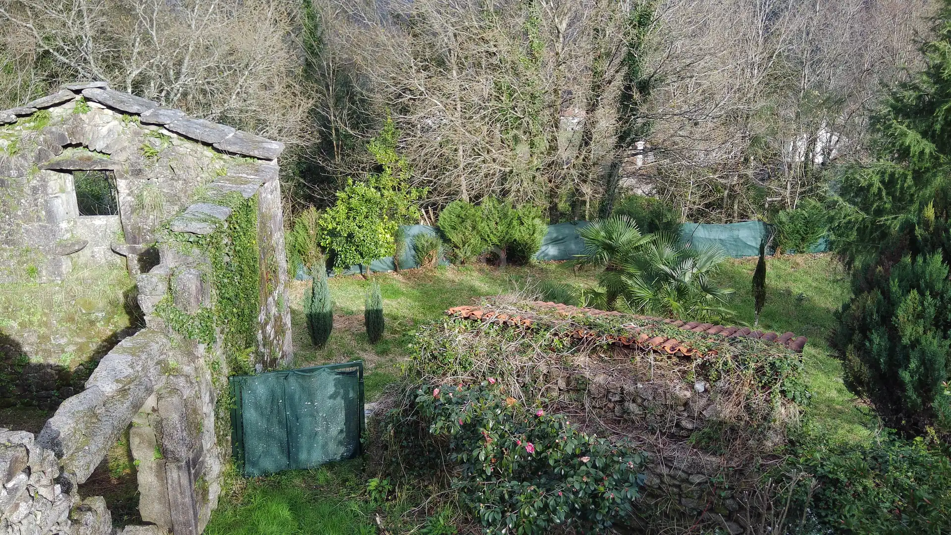 Jardín de Casa o chalet en venta en Campo Lameiro