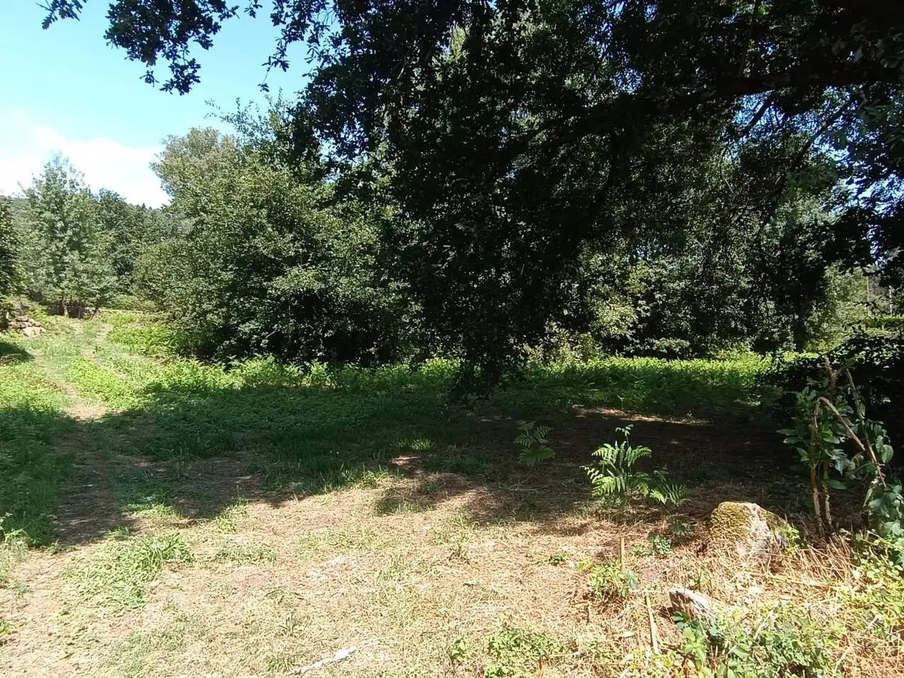 Lands and plots for sale in Calle Cabadas, imagen 14