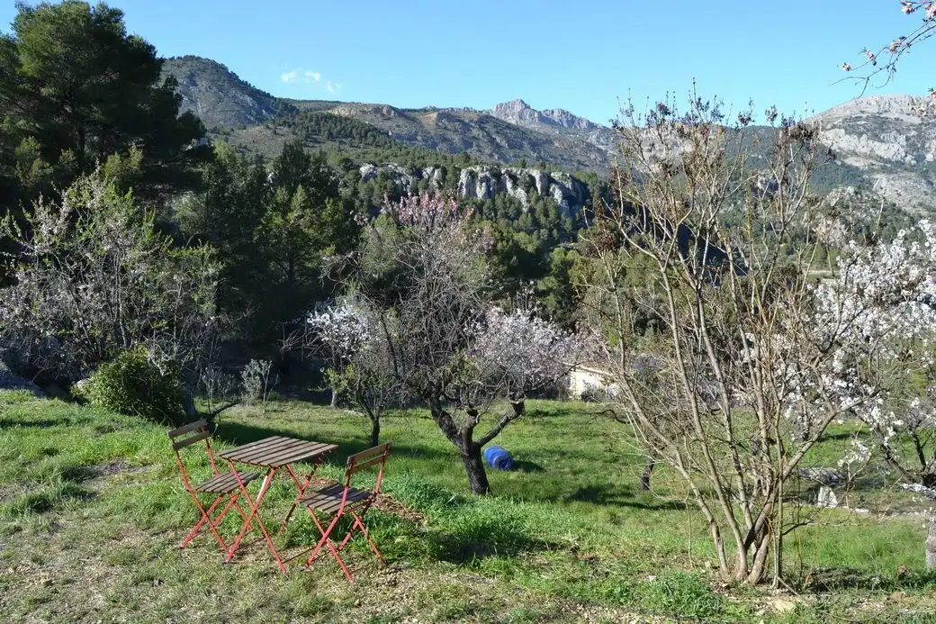 Garden of Houses for sale in Confrides