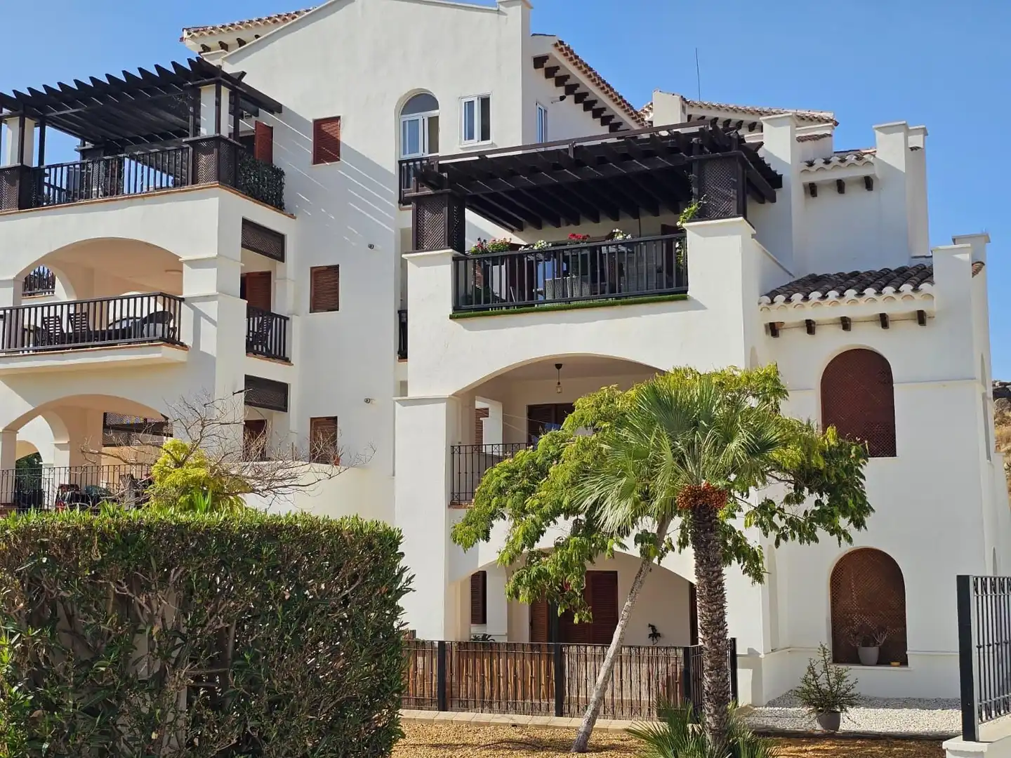 Baixos amb terrassa en venda a Campo de Murcia
