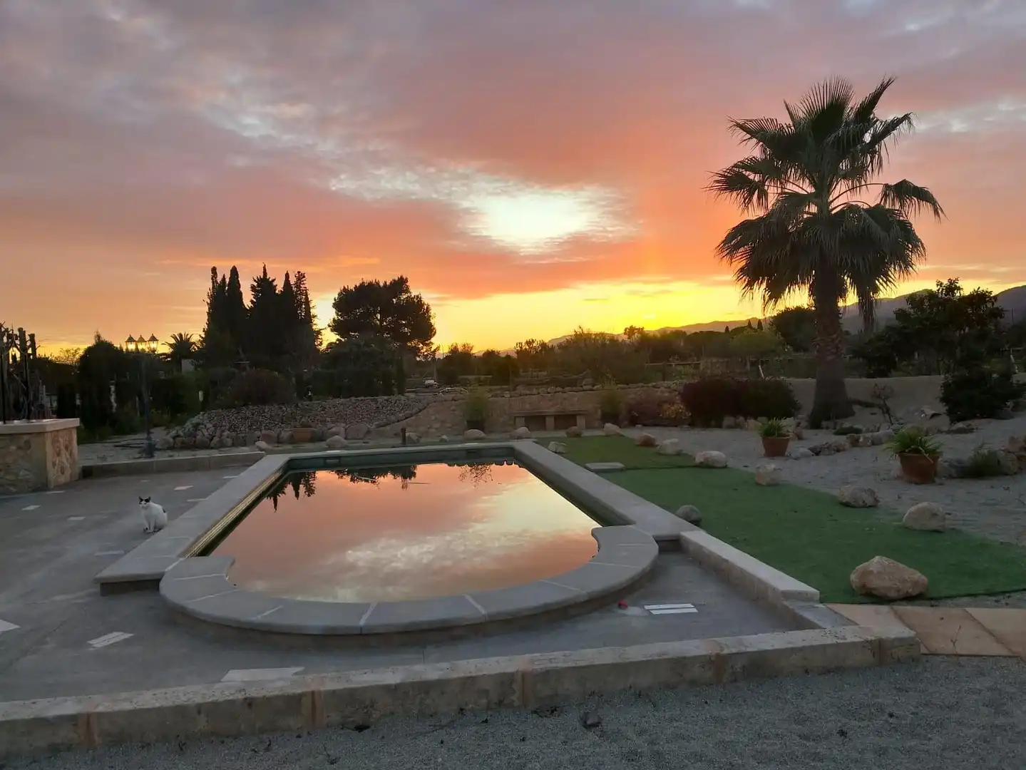 Swimming pool of Country homes for sale in Inca  with Air Conditioner, Heating and Private garden