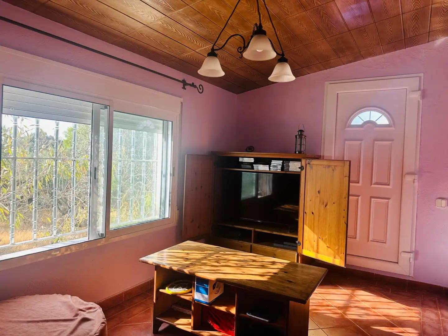 Sala de estar de Casa o chalet en venta en Amposta
