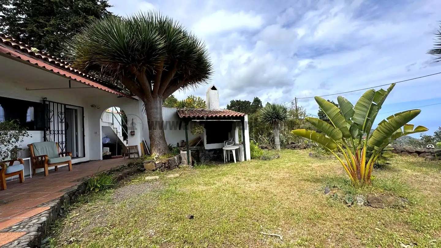 Jardín de Finca rústica en venta en Icod de los Vinos con Piscina