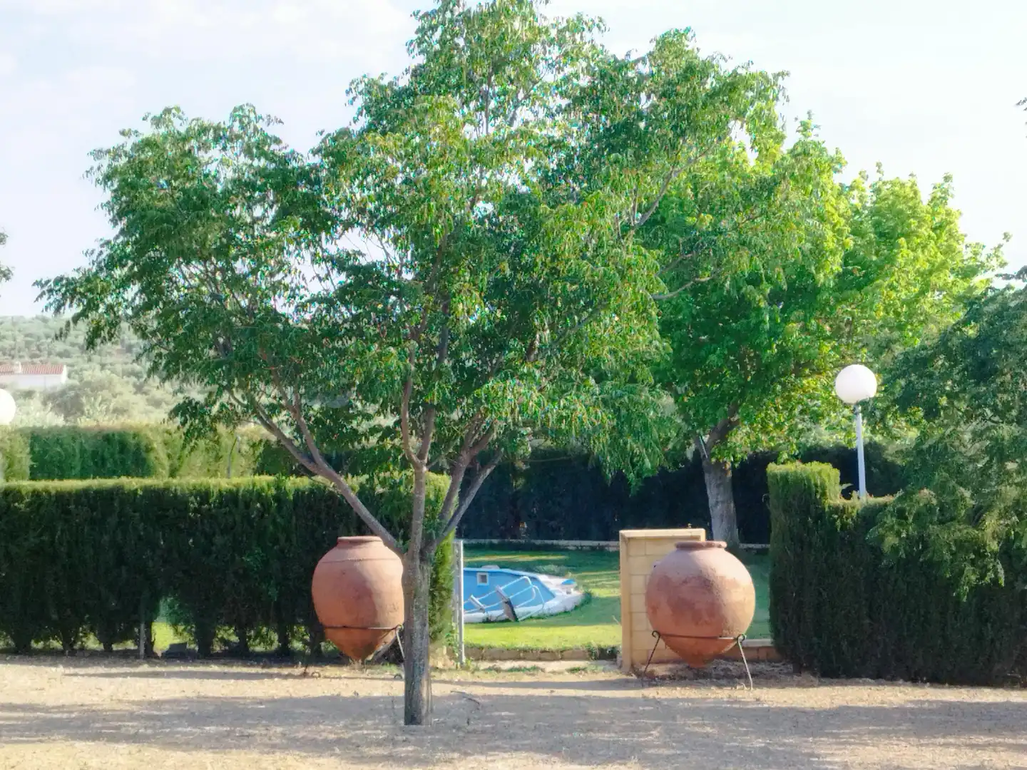 Jardí de Finca rústica en venda en Berlanga amb Aire condicionat, Jardí privat i Piscina