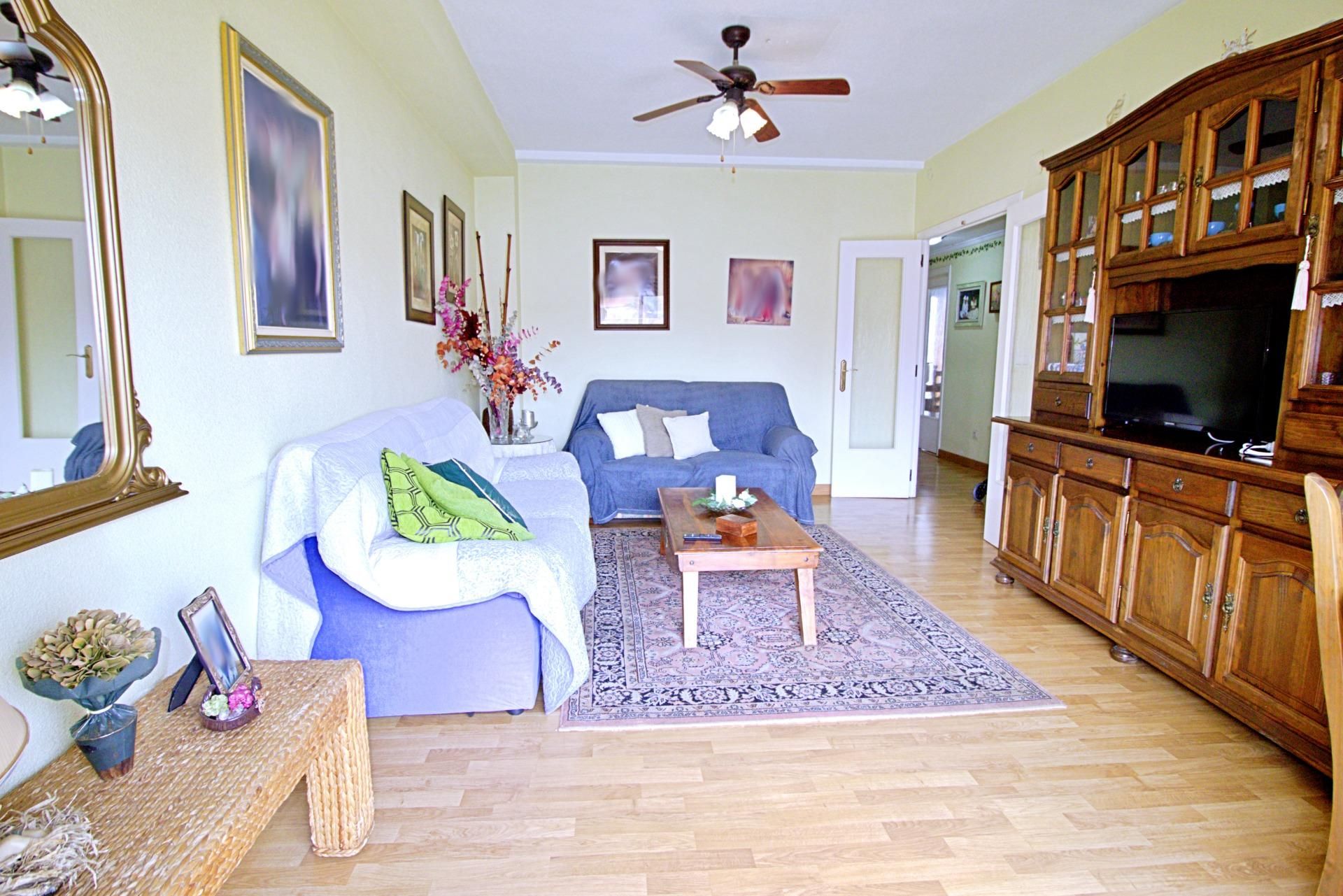 Living room of Flat for sale in Elche / Elx  with Air Conditioner