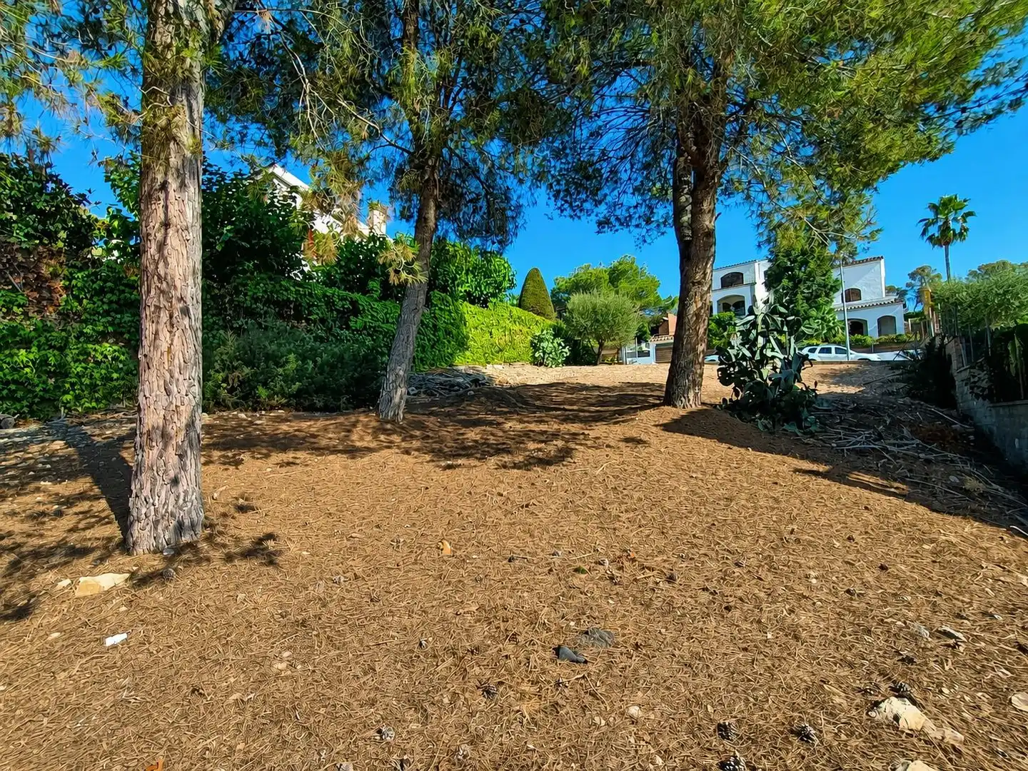 Terreno residencial en venta en Canyelles, imagen 4