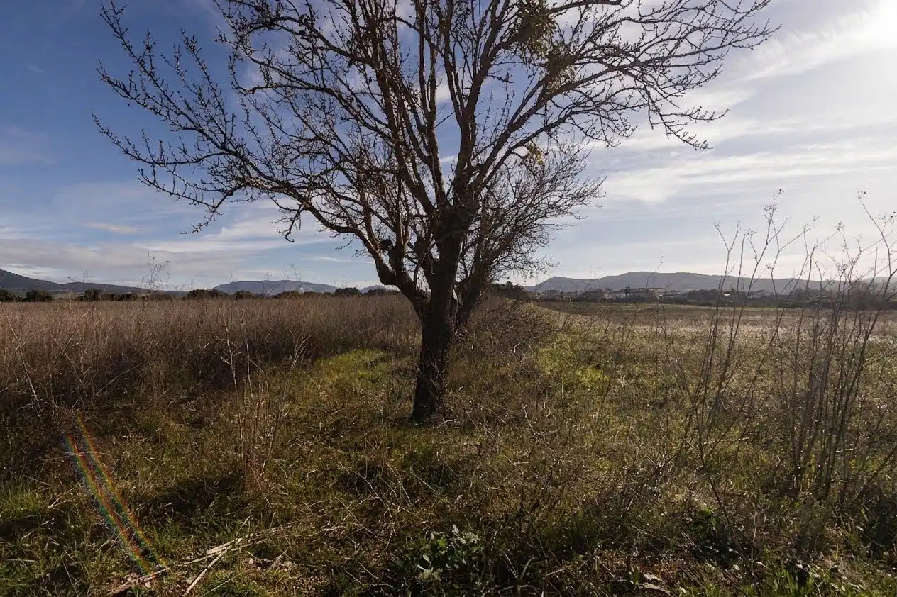 Terreny rústic en venda a 123 poligono 3, imagen 46
