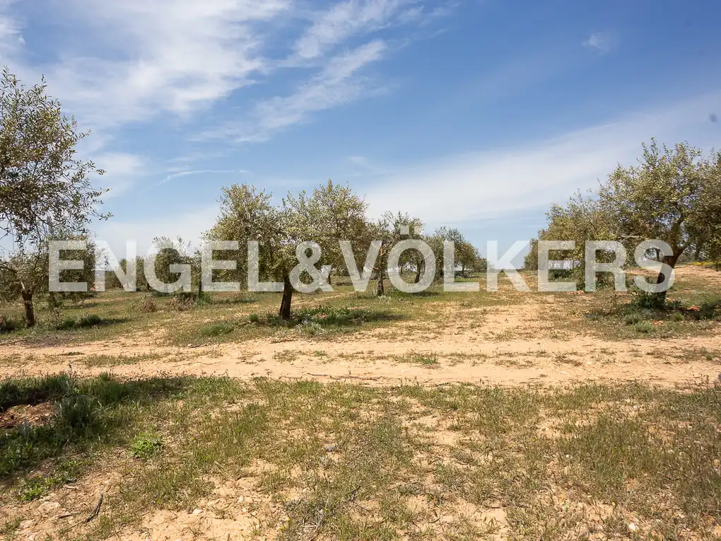 Casa o chalet en venta en Chinchilla de Monte-Aragón con Calefacción, Jardín privado y Terraza
