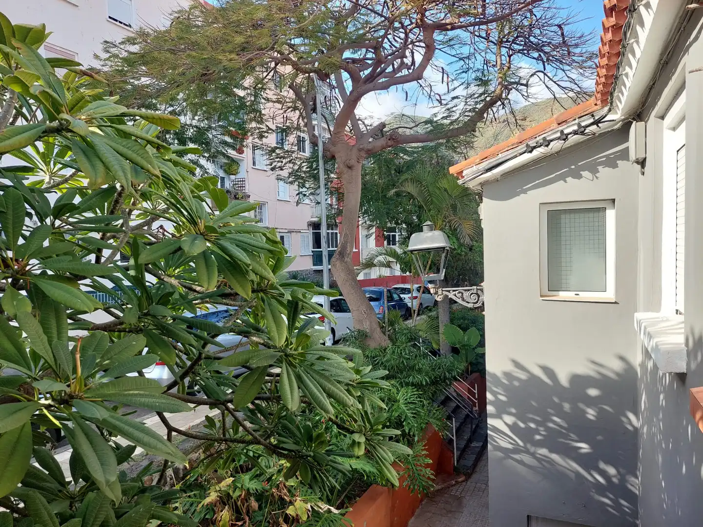Casa o chalet en venta en La Salud