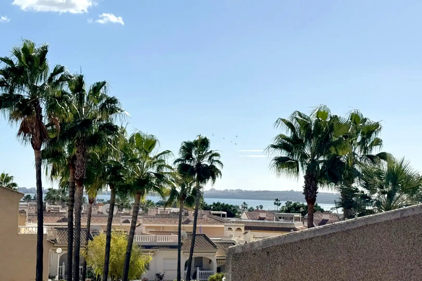 Vista exterior de Casa o chalet en venta en Rojales con Aire acondicionado, Calefacción y Jardín privado