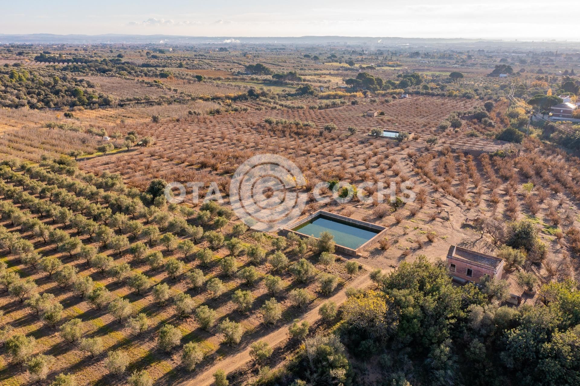 Finca rústica en venda en Castellvell del Camp