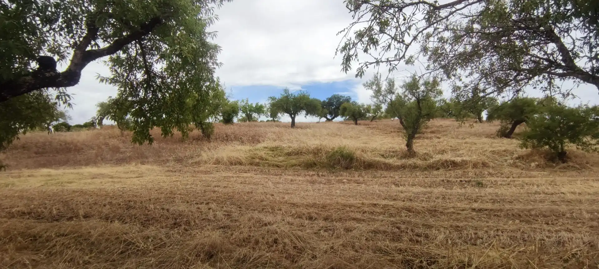 Terreni e lotti in vendita a Garrovillas de Alconétar, imagen 14