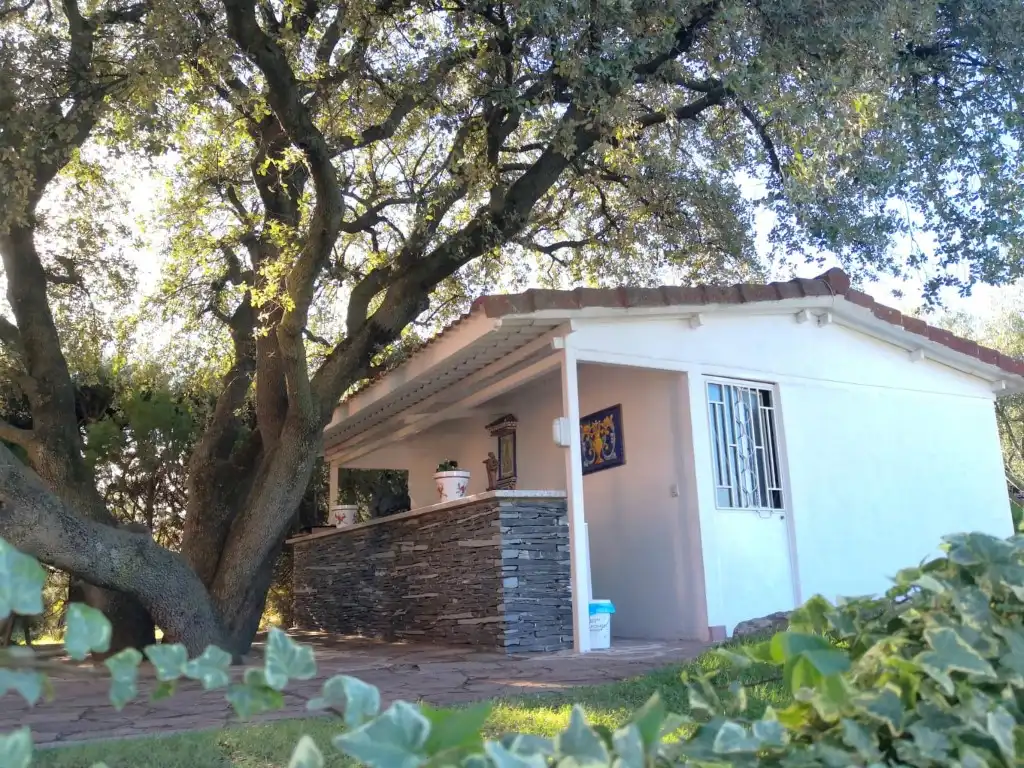 Jardí de Casa o xalet en venda en Las Rozas de Madrid